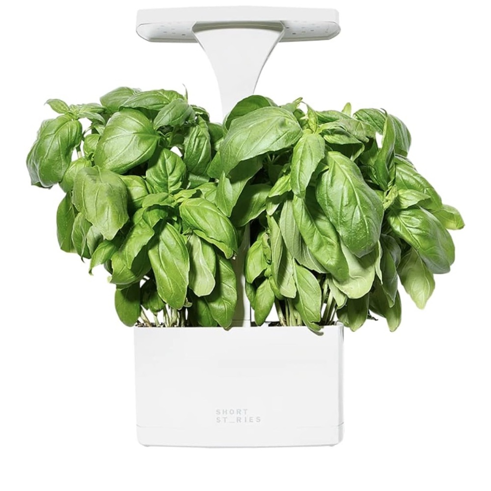 Short Stories LED Indoor Planter